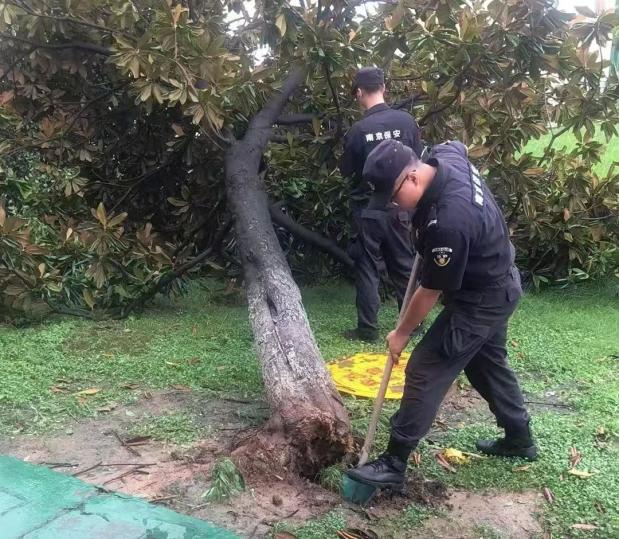 C:/Users/BA/Desktop/風雨過后南京保安迅速行動，恢復安“寧”面貌/10.jpg10