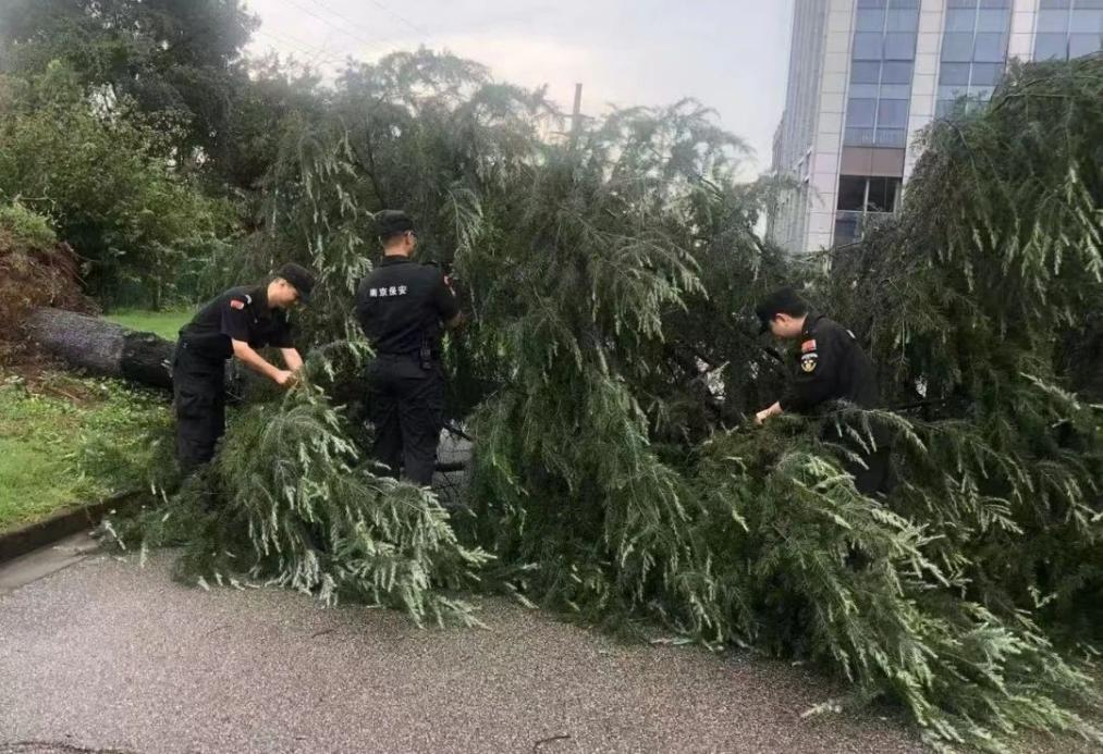 C:/Users/BA/Desktop/風雨過后南京保安迅速行動，恢復安“寧”面貌/1.jpg1